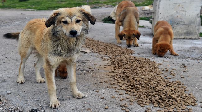 Can dostlar unutulmadı