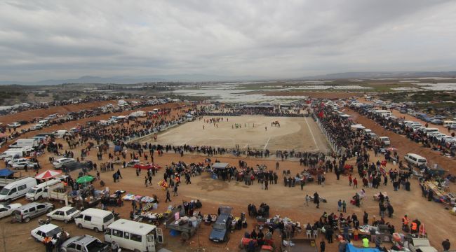 Deve Güreşleri Festivali başlıyor!