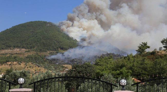 İzmir'de 167 orman yangını çıktı