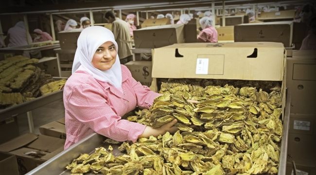 1 milyar 146 milyon dolarlık ihracat