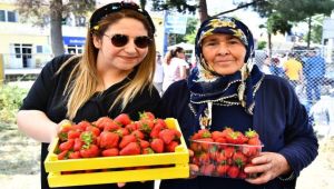 Çileği ile ünlü Emiralem'de festival coşkusu yaşandı