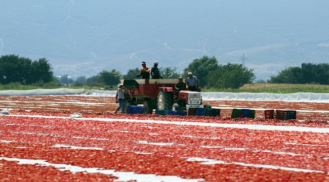  Bakırçay'a mercek altında