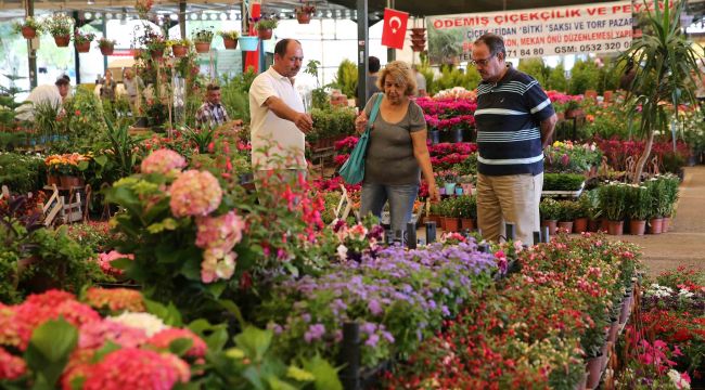 En güzel balkon ve bahçeler seçiliyor