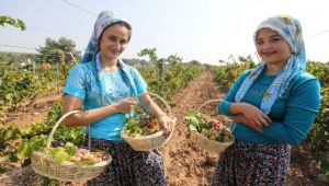  Buca’da üzüm şenliği heyecanı