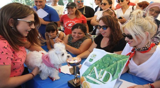 Narlıdere’de can dostlar için festival!