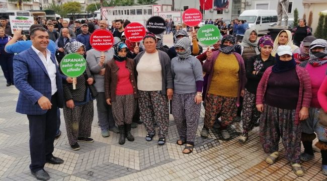 Menemen, ıspanak üreticisinin yanında