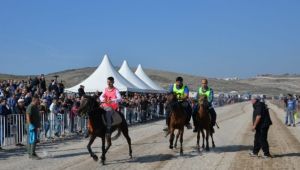 Menemen’den ata sporu yarışması