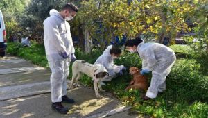 Bornova'da candostlar için örnek dayanışma