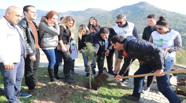 Gönüllüler Bayraklı'da çam fidanı dikti