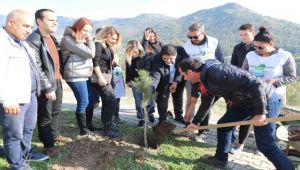 Gönüllüler Bayraklı'da çam fidanı dikti