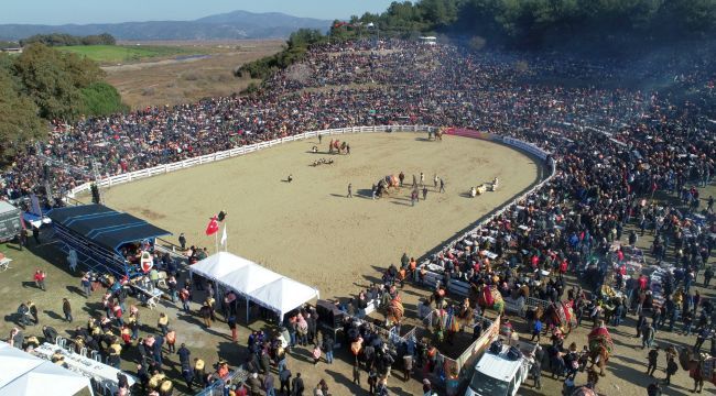 38. Uluslararası Devecilik Festivali Büyük İlgi Gördü