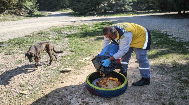 Buca’da sokak hayvanları unutulmuyor