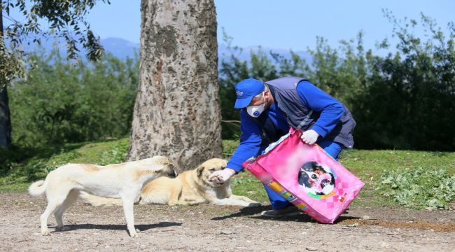 Büyükşehir Belediyesi Can Dostları Unutmadı