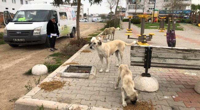 Çiğli Belediyesi Sokak Hayvanlarını Unutmadı