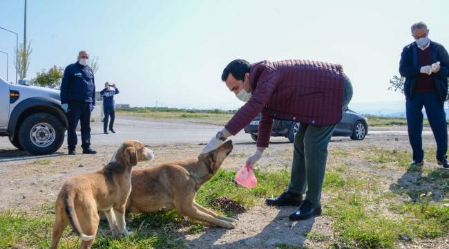 Bergama’da can dostlar unutmadı