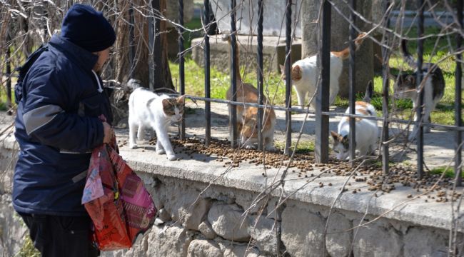 Bergama’da sokak hayvanlarına mama