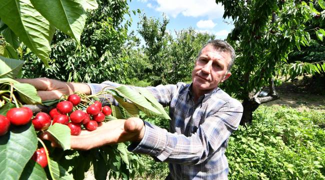 “El verin hem üreticiyi hem tüketiciyi doyuralım”