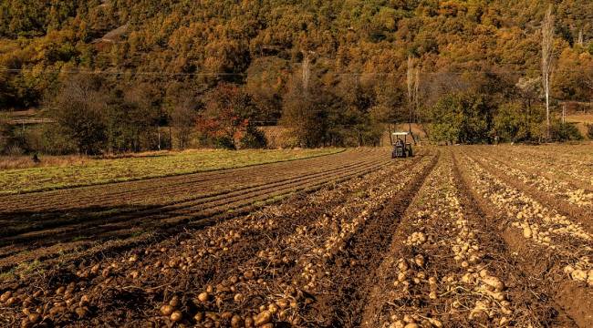 Gaziemir’den üreticiye “alım garantili” destek