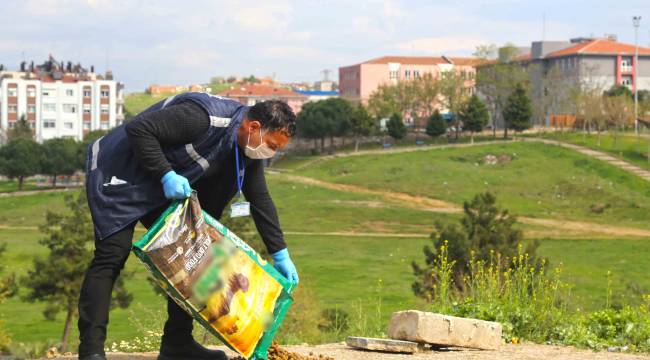 Karabağlar’da can dostlara mama desteği