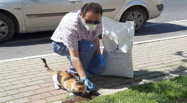 Narlıdere'de can dostlar unutulmadı