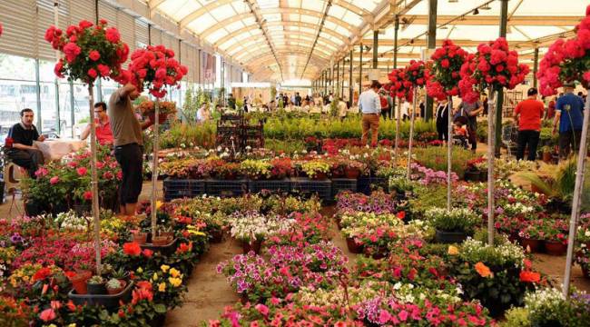  Sertel belediyeleri çiçekçilik sektörüne sahip çıkmaya çağırdı
