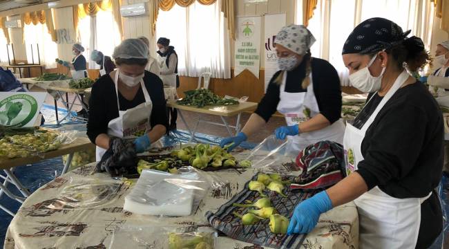 Urla Enginar Festivali Bu Yıl Evlerde Yapılıyor