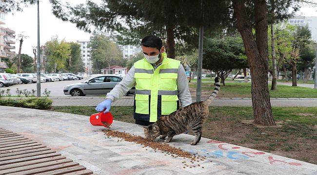  Bayraklı Belediyesi vatandaşı yalnız bırakmıyor