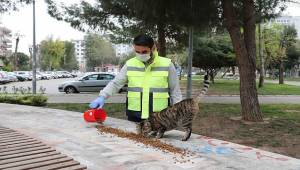  Bayraklı Belediyesi vatandaşı yalnız bırakmıyor