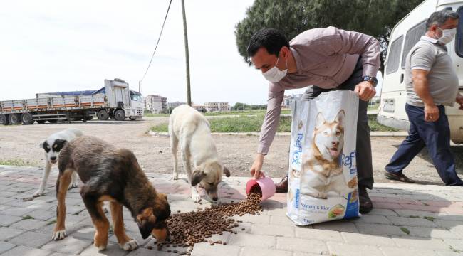 Bergama’da sokak hayvanları unutulmuyor