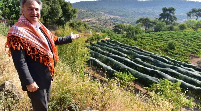 Bu tohumlar Bornova Bamyası’nı geleceğe taşıyacak 