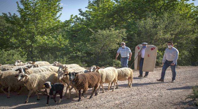 Tunç Soyer: Mera varsa hayat vardır