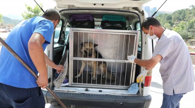 Bayraklı, Karşıyaka ve HAYTAP'tan ortak çalışma