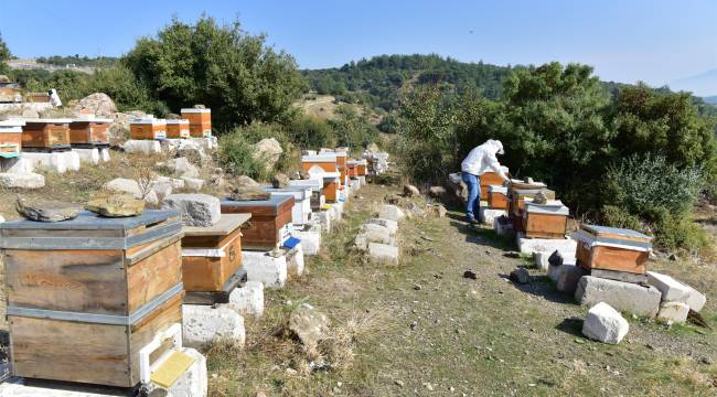 Bornovalı Balı marka olacak