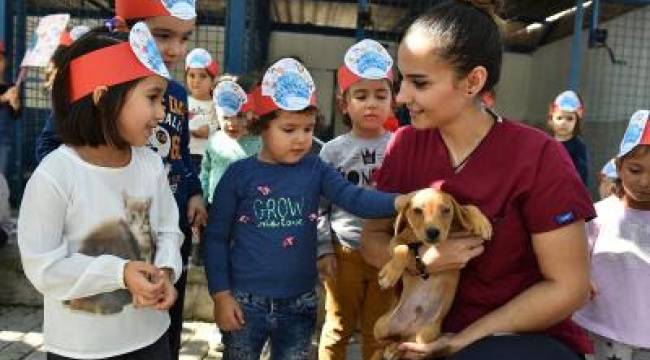 Büyükşehir’den bin 500 köpeğe rehabilitasyon merkezi