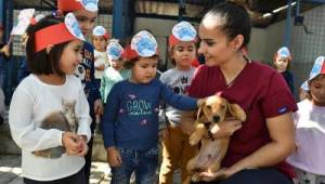 Büyükşehir’den bin 500 köpeğe rehabilitasyon merkezi