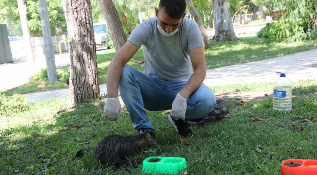 Sokak hayvanları için 'bir kap su' kampanyası