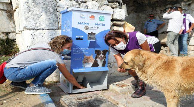 Seferihisar Belediyesi’nden Mamamatik uygulaması