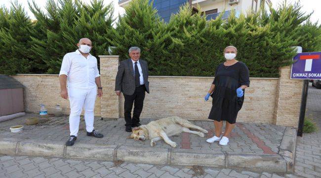 Hayvan Dostu Gündüz Çiftine Başkandan ‘İnce’ Ziyaret