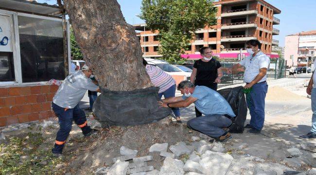 Karabağlar Belediyesi’nden yeşile saygı