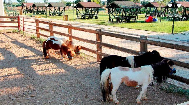 Ödemiş Belediyesi Taypark’ta çocuklar için atla gezinti turları başladı