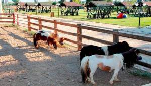 Ödemiş Belediyesi Taypark’ta çocuklar için atla gezinti turları başladı