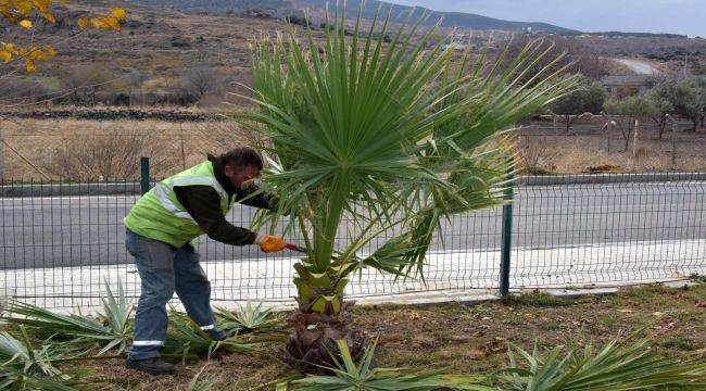 Aliağa Belediyesi Ekipleri Uzunhasanlar’da