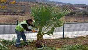 Aliağa Belediyesi Ekipleri Uzunhasanlar’da