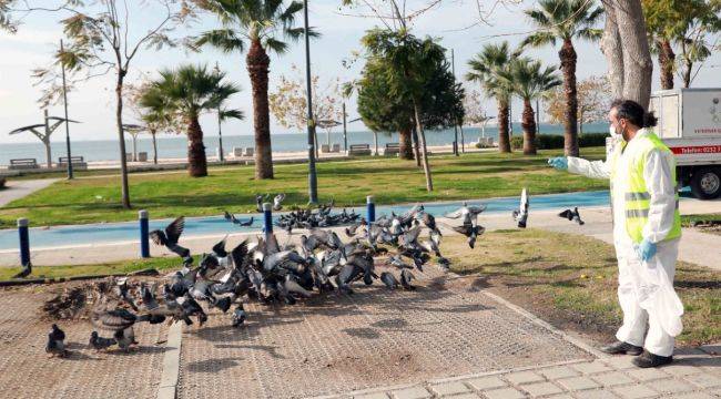 Bayraklı Belediyesi Can Dostları Unutmadı