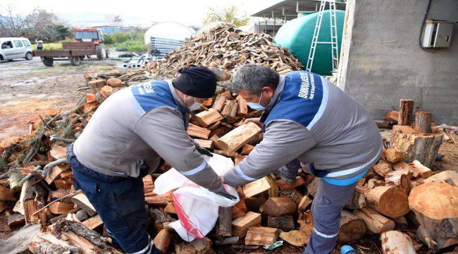 Budanan dallar ihtiyaç sahipleri için kışlık yakacak oluyor