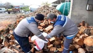 Budanan dallar ihtiyaç sahipleri için kışlık yakacak oluyor