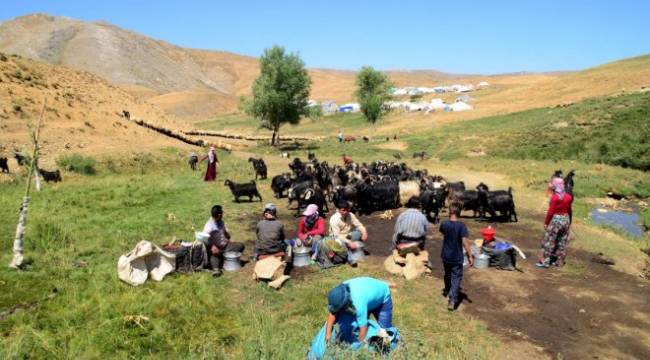 Ceylanpınar’da işgal de zarar da büyüyor