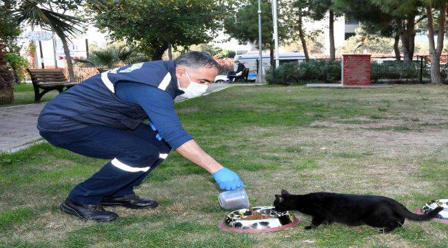 Karabağlar Belediyesi kısıtlama günlerinde sahada