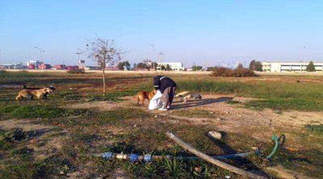 Sokakta yaşayan hayvanlar unutulmadı