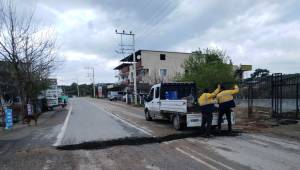 Buca Belediyesi’nden bahar dönüşümü 